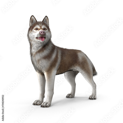 Siberian Husky 3D Modeling PNG File - Realistic Pet Dog