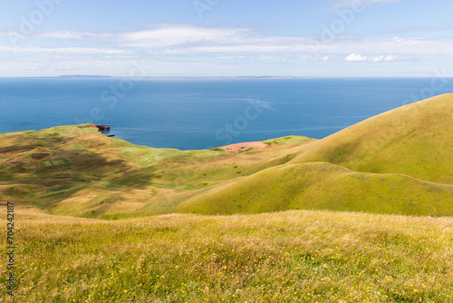 vue sur des collines au bord de la mer bleu recouvertes de gazon vert en été lors d'une journée ensoleillée