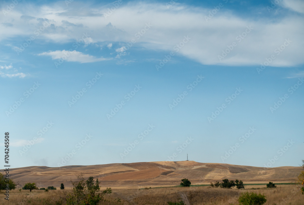 Obraz premium Beautiful summer mountain landscape. Wheat fields and mountains. Kyrgyzstan. Natural background