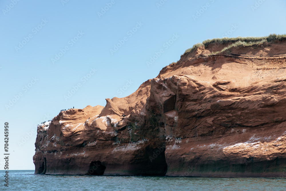 vue sur une falaise de roche rouge en bord de mer avec des fientes d'oiseau en été avec la lumière du soleil
