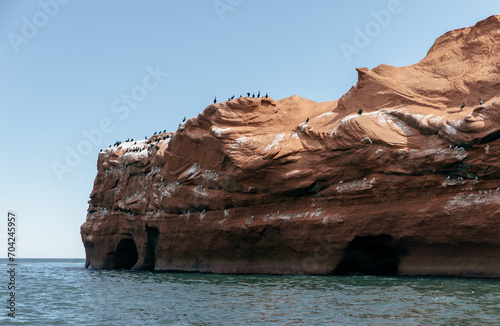 vue sur une falaise de roche rouge en bord de mer avec des fientes d'oiseau et des oiseaux perchés en été avec la lumière du soleil