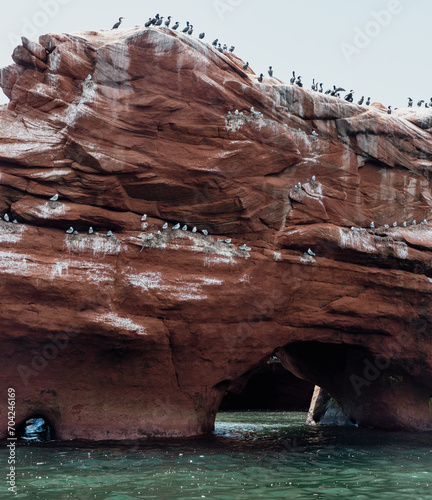 vue sur un rocher en roche rouge avec un trou recouvert de fiente d'oiseau au bord de l'eau en été lors d'une journée ensoleillée avec des oiseaux perchés au top