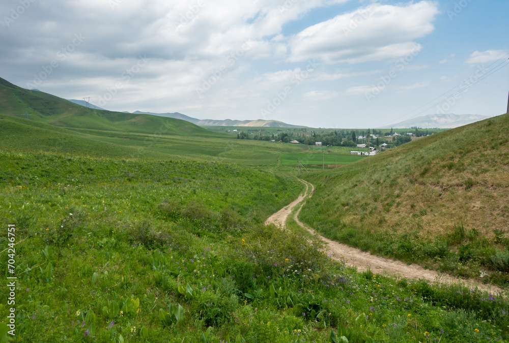 Naklejka premium Fields with summer flowering plants, meadow flowers. Summer landscape