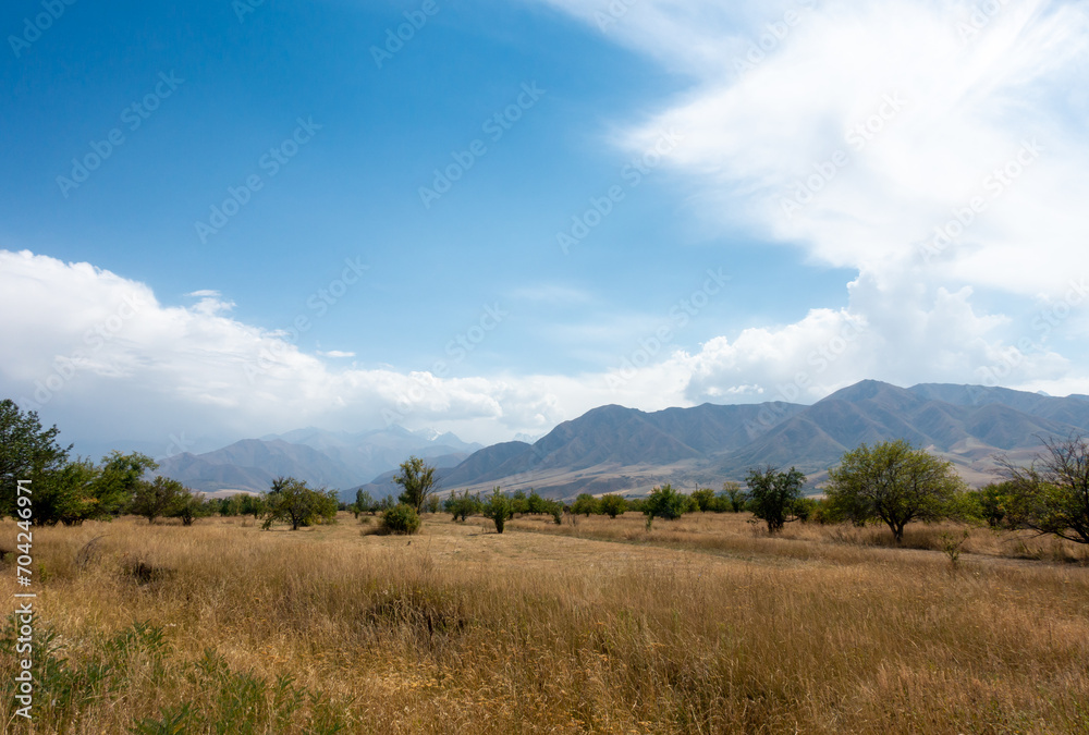 Beautiful summer mountain landscape. Wheat fields and mountains. Kyrgyzstan. Natural background Beautiful summer mountain landscape. Wheat fields and mountains. Kyrgyzstan. Natural background
