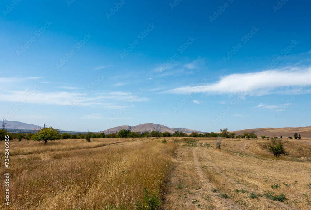 Beautiful summer mountain landscape. Wheat fields and mountains. Kyrgyzstan. Natural background