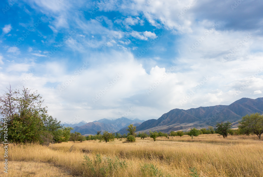Beautiful summer mountain landscape. Wheat fields and mountains. Kyrgyzstan. Natural background Beautiful summer mountain landscape. Wheat fields and mountains. Kyrgyzstan. Natural background