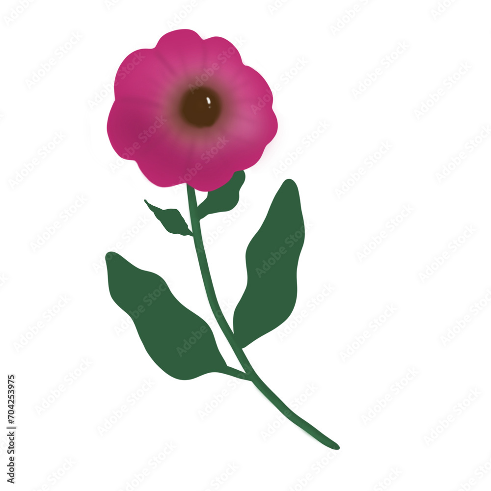 pink carnation flower isolated pink carnation flower isolated
