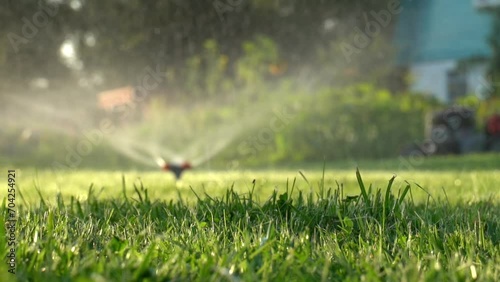 automatic watering of the green lawn