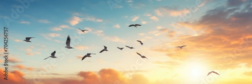 A flock of five birds are flying in the sky, wide light, 2d illustration, 64K, high detail photo