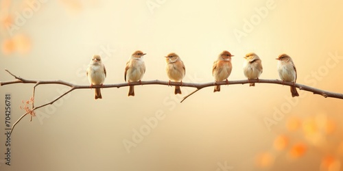 A flock of five birds are singing on the branch, vignetting photography, Dadaism, 16k, high detail  © sambath