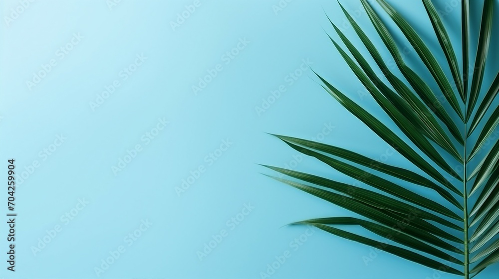 Tranquil Atmosphere with Blurred Shadows from Palm Leaves on a Light Blue Background – Aesthetic Nature Art for Serene Summer Vibes and Exotic Botanical Patterns Tranquil Atmosphere with Blurred Shadows from Palm Leaves on a Light Blue Background – Aesthetic Nature Art for Serene Summer Vibes and Exotic Botanical Patterns