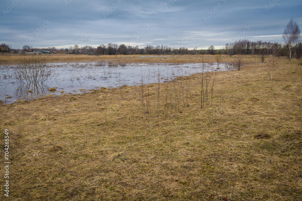 Fototapeta premium Spring flood of the river