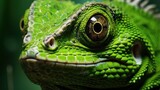  a close - up of a green lizard's face, with a blurry background of the lizard's head.