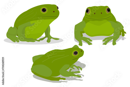 set of cartoon green frogs in flat design. vector illustration. eps 10.  © Vishani 