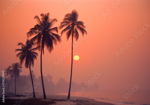  a couple of palm trees sitting on top of a beach next to the ocean with a sunset in the background.