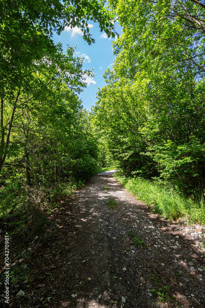 Small pathway in the mountain