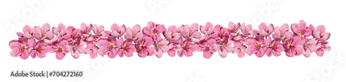 Spring flower arrangement of pink apple tree flowers. Design element for creating collage or designs, cards, wedding decor and invitations. Border, flower garland isolated on white background. 