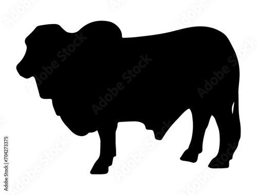 Brahman Bull silhouette vector art white background