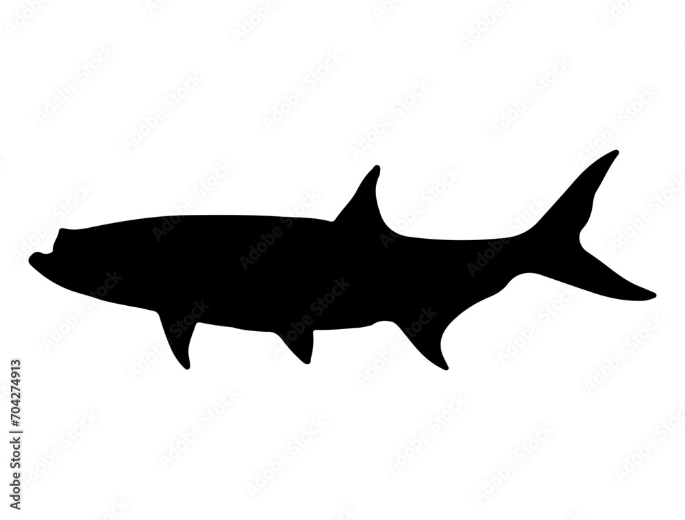 Tarpon Fish silhouette vector art white background Tarpon Fish silhouette vector art white background