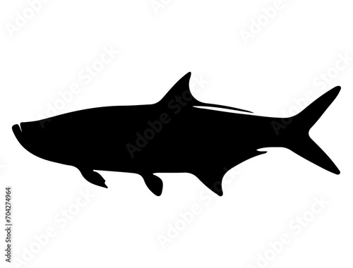 Tarpon Fish silhouette vector art white background