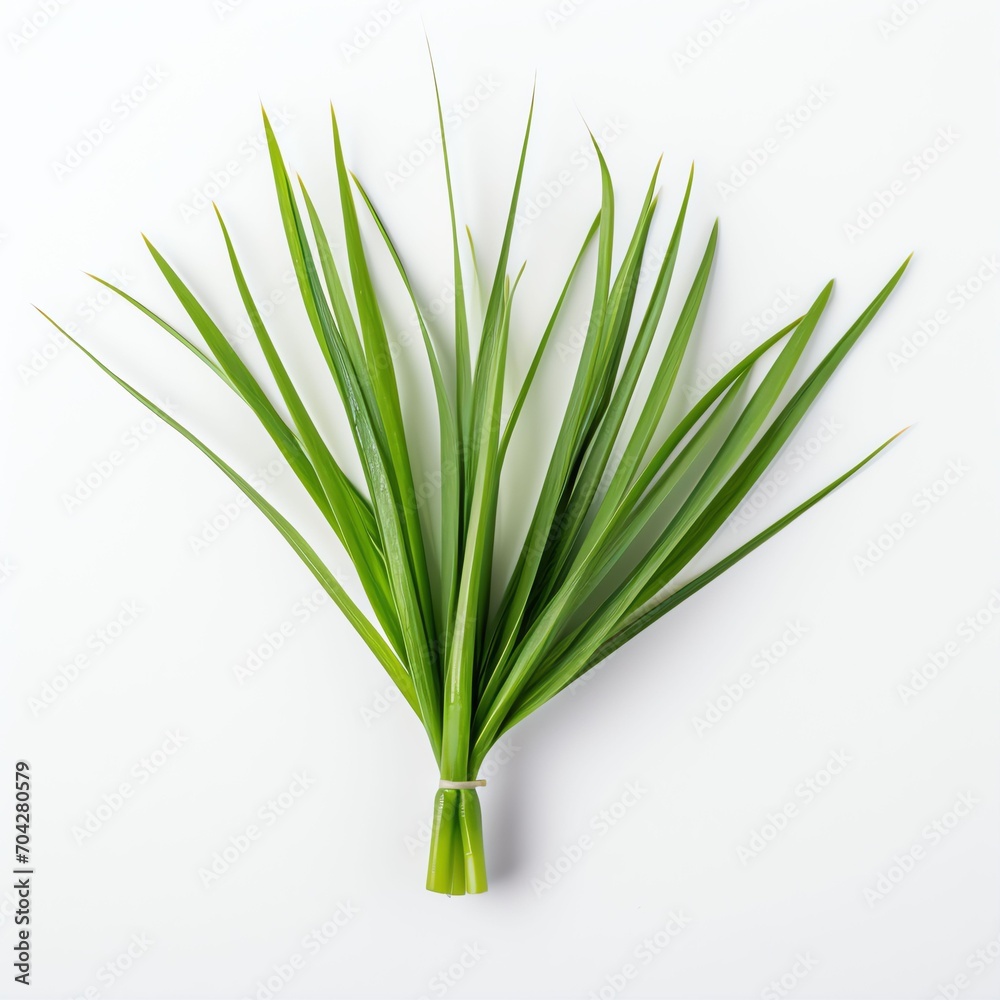 Photograph of lemongrass, top down view, wite background