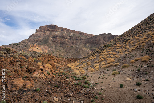 Landscape of Teide National Park, Tenerife, Canary Islands, Spain