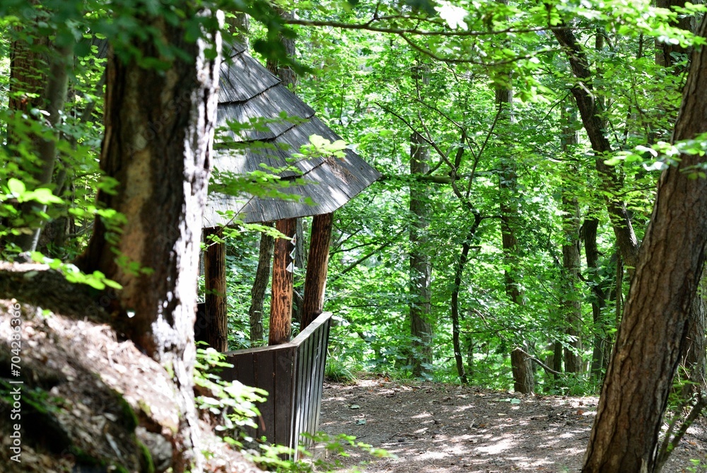 Relaxing tourist wooden shelter in the forest