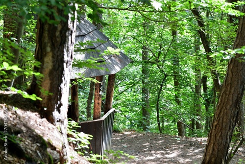 Obraz na płótnie Relaxing tourist wooden shelter in the forest w salonie