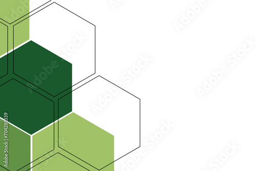 Abstract Green Hexagon with Black Lines on White Background