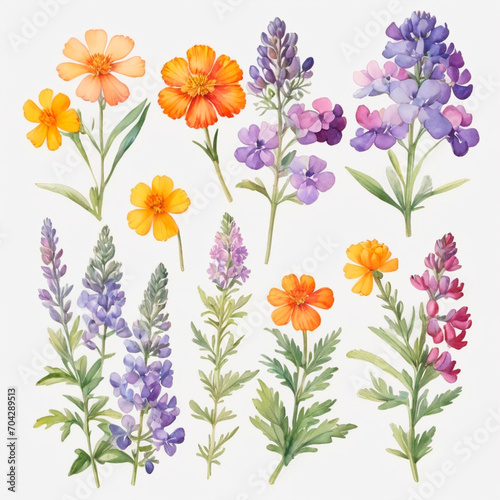 set of watercolor painted flowers © Алена Харченко