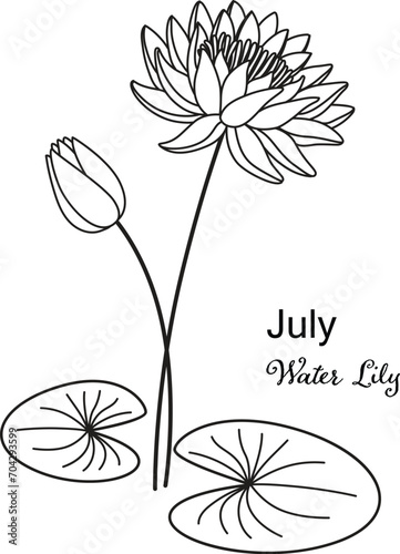 Birth month flower of July is water Lily flower for printing engraving, laser cut, coloring and so on. Vecter illustration.