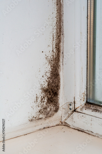 Canvas Print Black mold on the window slope, plastic window with condensation