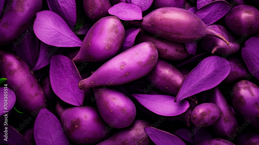 Fototapeta premium Purple sweet potato has a lot of texture. Selective focus.