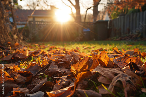 Raking leaves, autumn remnants, garden, outdoor. 
