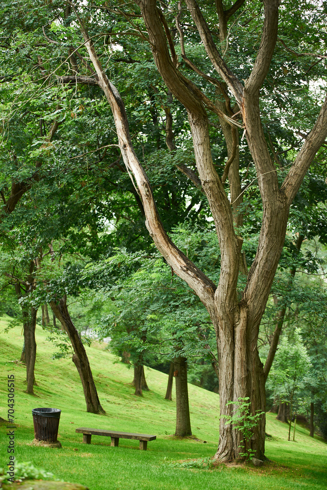 Artxanda Park, Bilbao, Biscay, Basque Country, Euskadi, Spain, Europe.