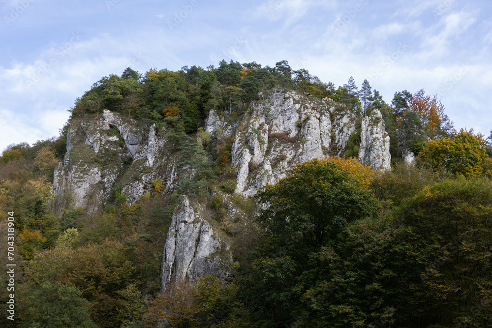 The photo shows an autumn forest in a Polish national park with vibrant leaves and white limestone rocks, offering a serene view of nature's untouched beauty.