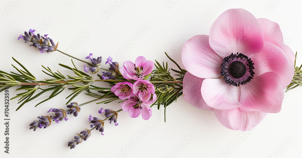 pink anemone flower with lily, lavender, and rosemary