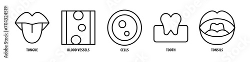 Tonsils, Tooth, Cells, Blood Vessels, Tongue editable stroke outline icons set isolated on white background flat vector illustration.