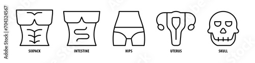 Skull, Uterus, Hips, Intestine, Six-pack editable stroke outline icons set isolated on white background flat vector illustration.