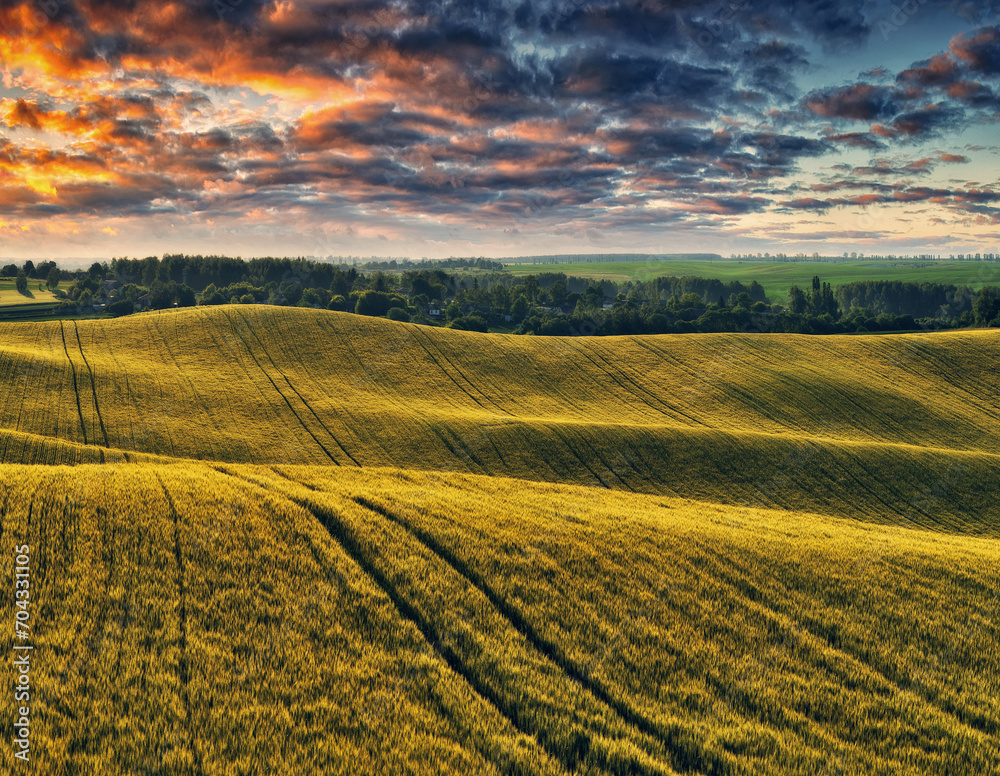 A picturesque hilly field. Storm clouds over a wheat field. Spring village landscape