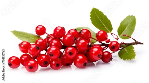 seasonal red cherries branch isolated on white background