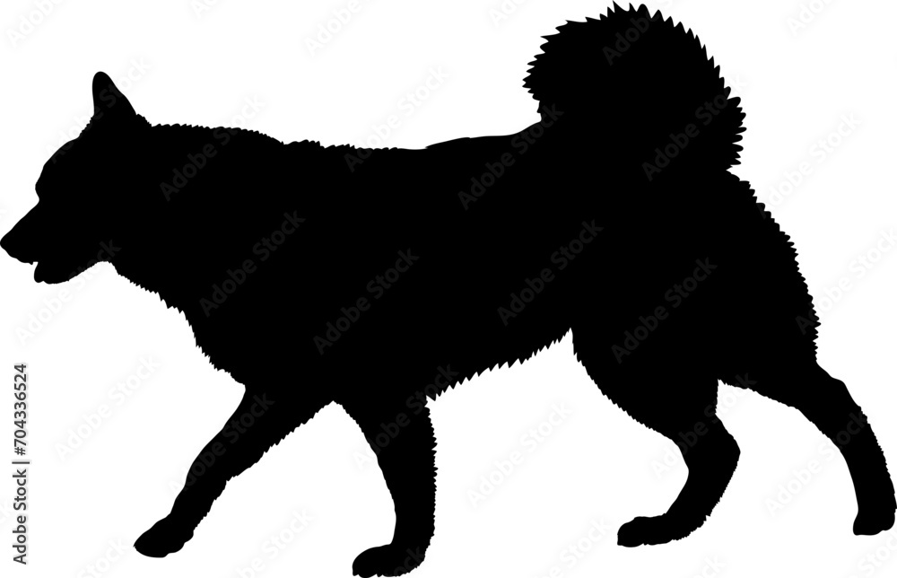  Finnish Spitz Dog silhouette breeds dog breeds dog monogram logo dog face vector