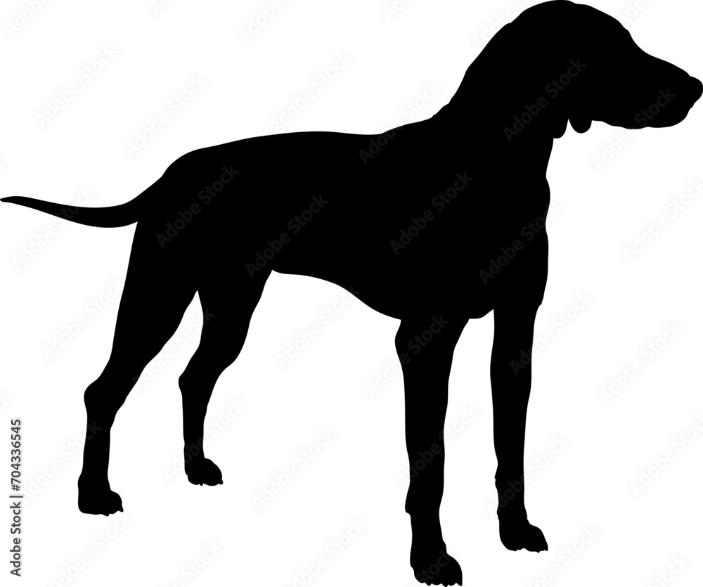  American Foxhound Dog silhouette breeds dog breeds dog monogram logo dog face vector