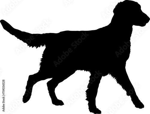 Flat Coated Retriever Dog silhouette breeds dog breeds dog monogram logo dog face vector