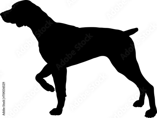 Germa Shorthaired Pointer. Dog silhouette breeds dog breeds dog monogram logo dog face vector