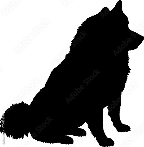 American Eskimo  Dog silhouette breeds dog breeds dog monogram logo dog face vector