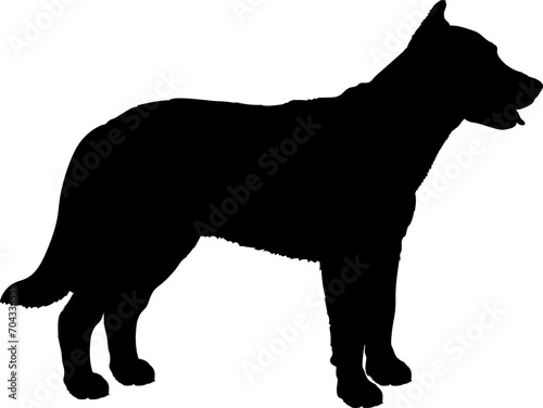 Beauceron Dog silhouette breeds dog breeds dog monogram logo dog face vector