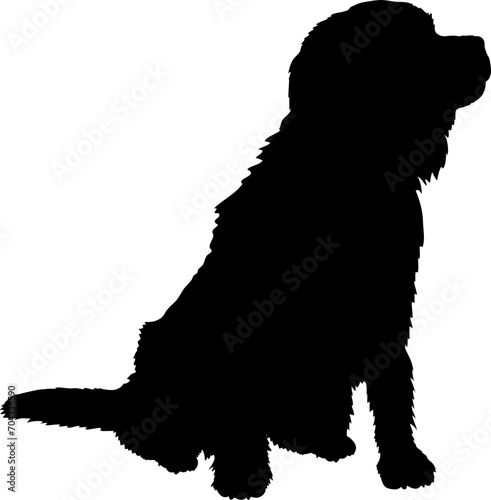 Cavalier King Charles Spaniel Dog silhouette breeds dog breeds dog monogram logo dog face vector