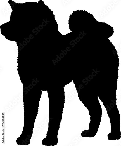 Akita Dog silhouette breeds dog breeds dog monogram logo dog face vector