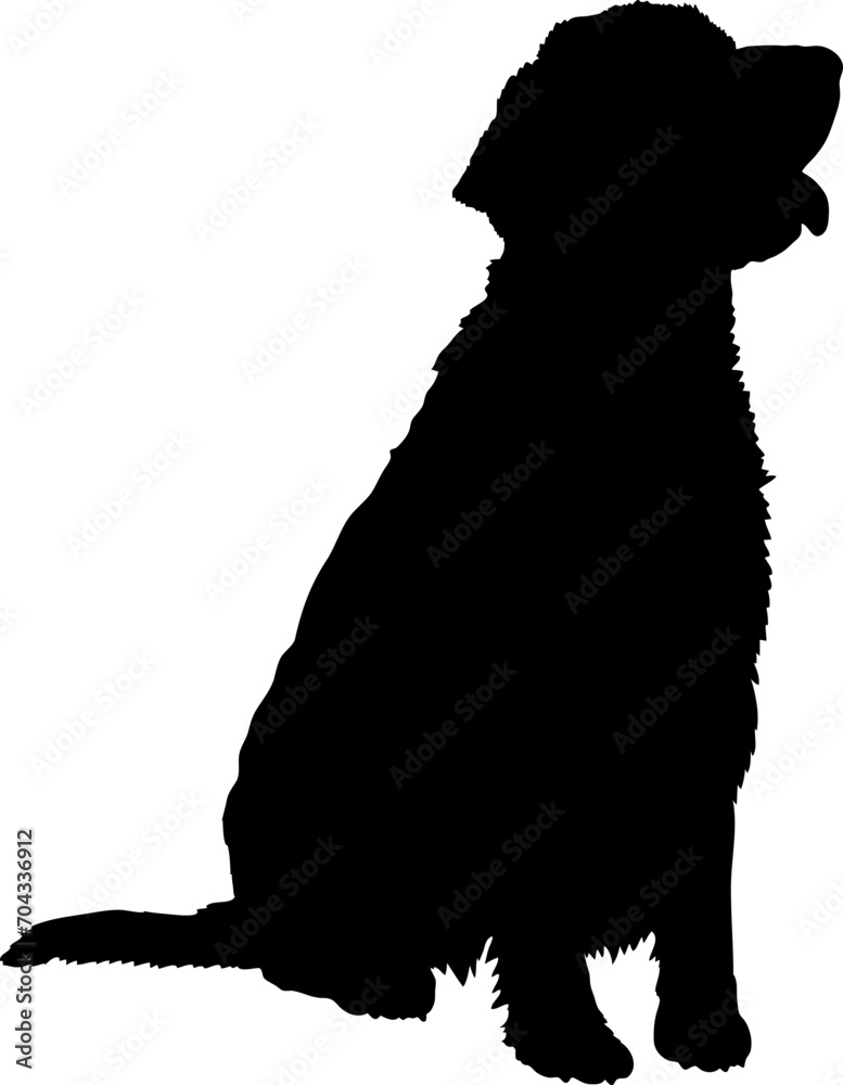 Welsh Springer Spaniel. Dog silhouette breeds dog breeds dog monogram logo dog face vector Welsh Springer Spaniel. Dog silhouette breeds dog breeds dog monogram logo dog face vector